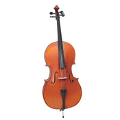 picture of a double bass