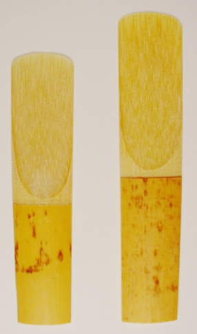 image of alto and tenor sax reeds side-by-side