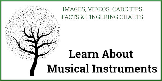 Learn About Instruments