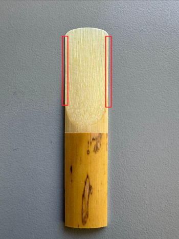 photo of alto saxophone reed with the rails circled