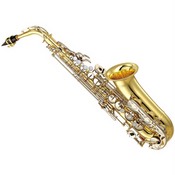 picture of an alto saxophone