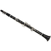 picture of a clarinet