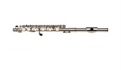 picture of a piccolo