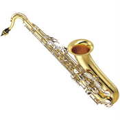 picture of a tenor saxophone