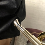 Musician's Mask