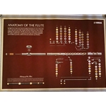 Flute Anatomy Poster