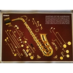 Saxophone Anatomy Poster