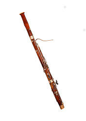 Bassoon photo