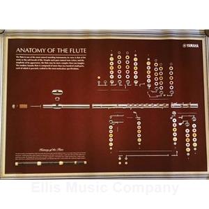 Flute Anatomy Poster